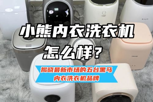 晓最新市场的五台黑马内衣洗衣机品牌凯发K8小熊内衣洗衣机怎么样？揭(图3)